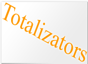 Totalziz Logo